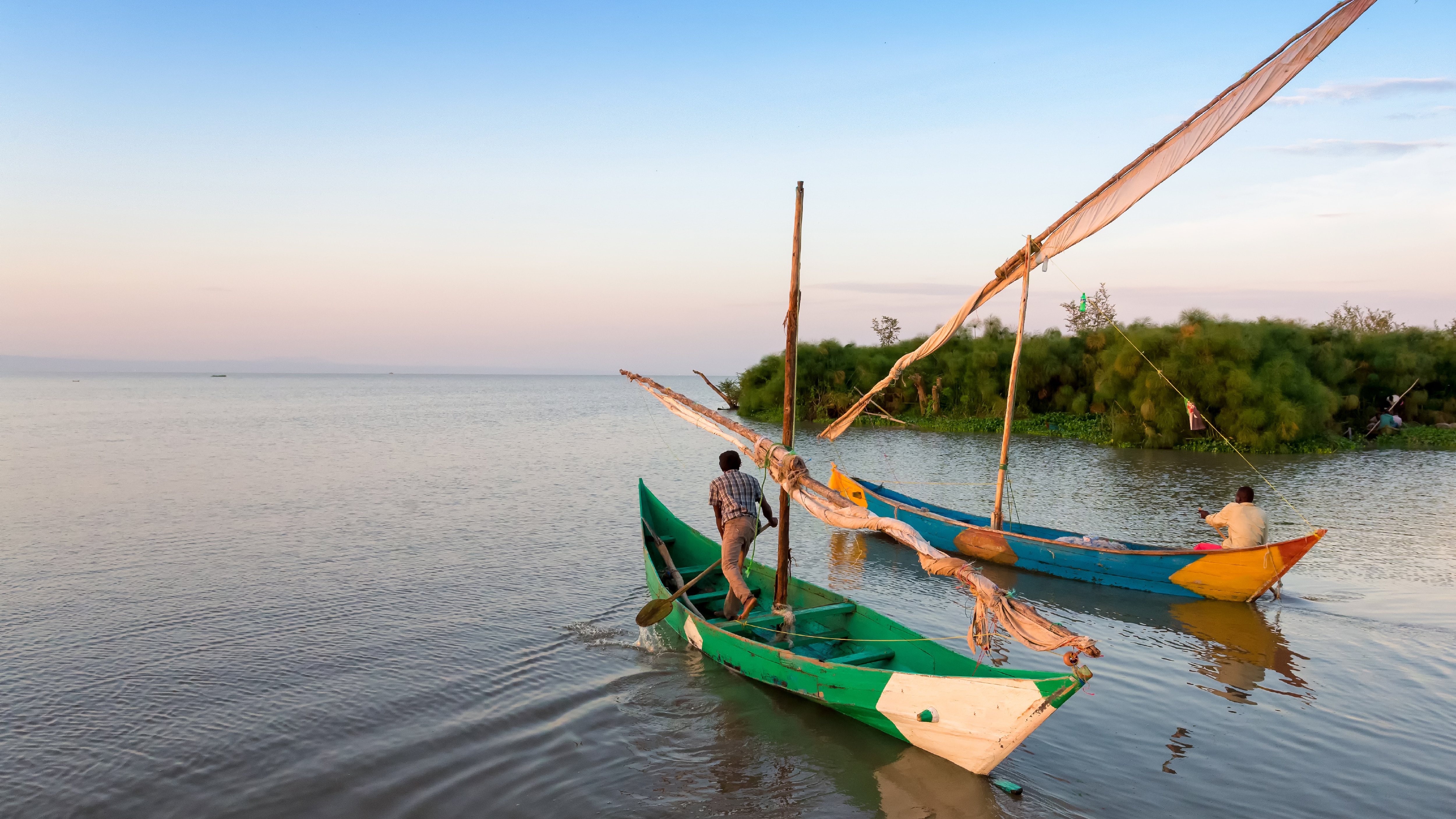 The blue foods sector represents a significant opportunity for economic growth, improved nutrition, and climate resilience. In Africa, blue foods contribute 18% of total animal protein and could generate an additional $17 billion in GDP if production doubles, while also reducing the protein gap by 25% and creating millions of sustainable jobs. The World Economic Forum's Food Innovation Hubs Initiative supports this by identifying opportunities, energizing local ecosystems, and mobilizing investment, fostering collaboration to develop a robust blue food sector that benefits people and economies.