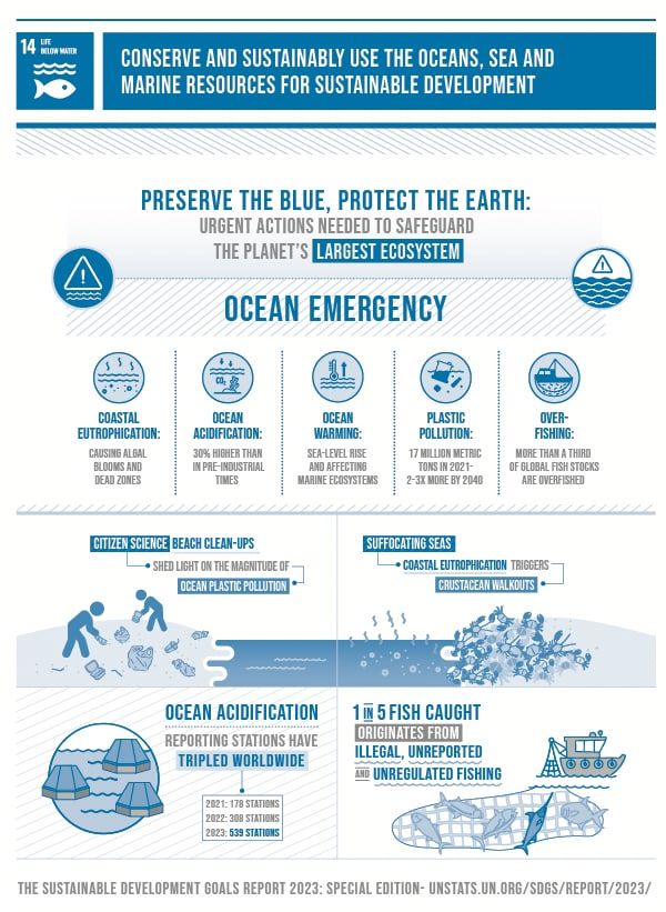 The ocean, the largest ecosystem on Earth, is facing urgent threats like overfishing, plastic pollution, and ocean acidification. The upcoming UN Ocean Conference in June 2025 aims to address these issues under Sustainable Development Goal 14, focusing on the ocean's conservation and sustainable use. Protecting ocean health is crucial for global food security, trade, and employment, with over 100 million jobs linked to the ocean economy. The sector's growth risks reversal without proactive policies that ensure marine ecosystem sustainability, highlighting the ocean's vital role in both environmental and economic wellbeing.