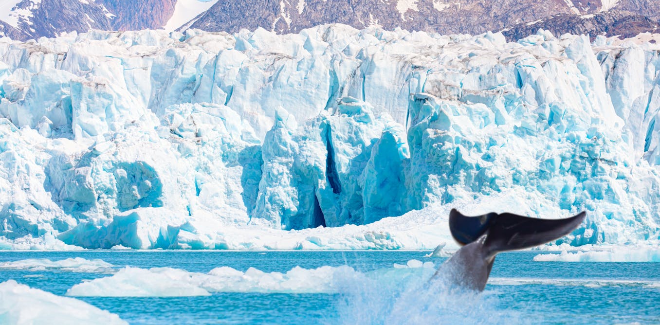 Greenland plays a crucial role in climate change research due to its rapidly melting ice sheet, which is disintegrating and contributing to accelerated sea-level rise. Studies reveal that crevasses are forming, channeling meltwater and increasing the ice sheet's instability. The geopolitical stability needed for research is under threat, as opposed to Antarctica's protections under international treaties. Concerns over U.S. control and potential resource extraction, while formidable, are complicated by logistical challenges. Greenland is positioned strategically for military development due to climate change opening new shipping routes, raising the potential for increased conflict.