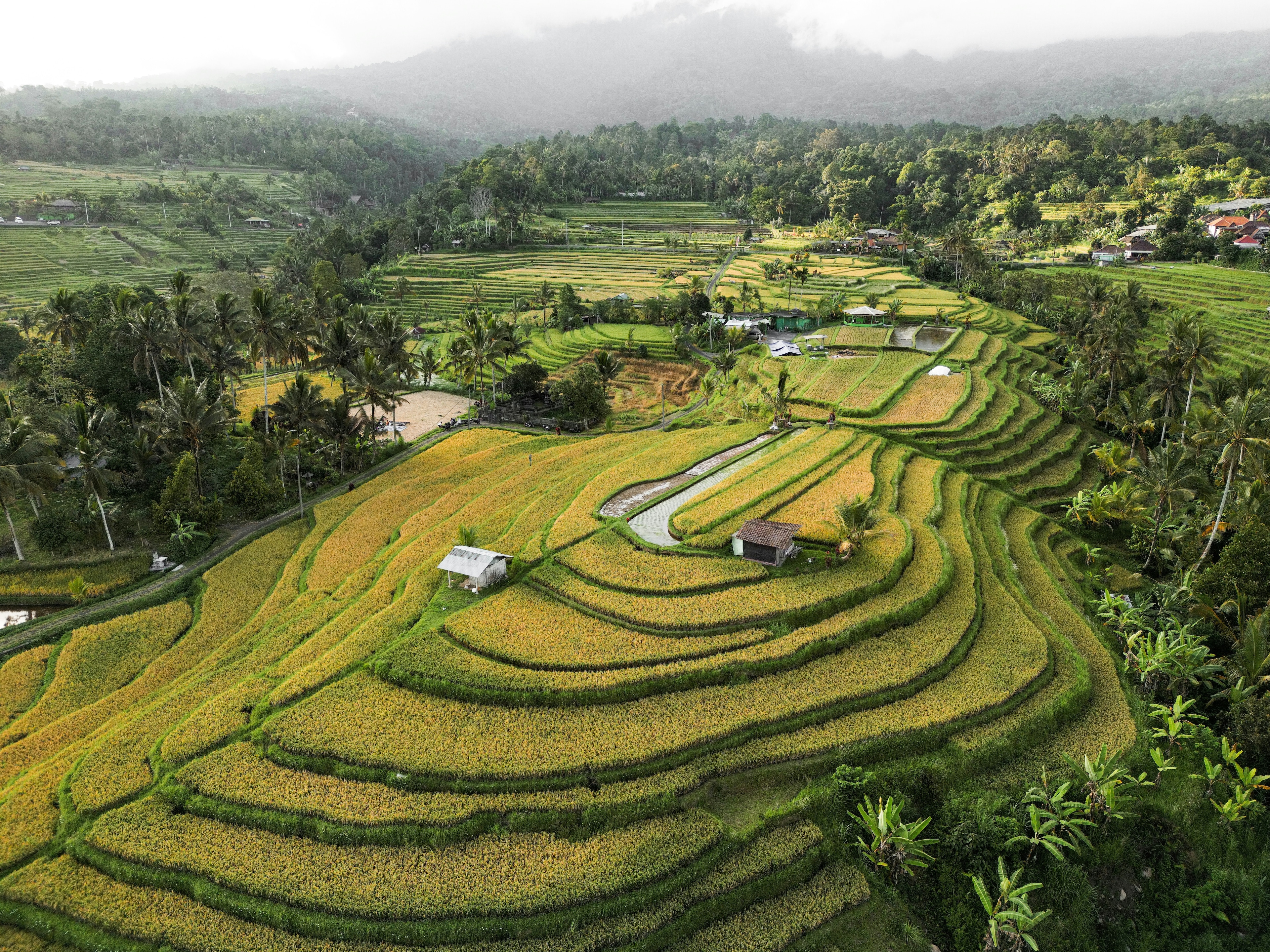 Tourism is projected to contribute $16 trillion to the global GDP by 2034, despite facing challenges such as resident-visitor tensions, global disruptions, and environmental pressures. Sustainable tourism requires strategic management that benefits both visitors and local communities. Solutions include redistributing tourist flows, diversifying experiences, and fostering under-visited regions. Successful examples include Rwanda's investment in nature-based and MICE tourism and Mexico’s Experiencias Rarámuri initiative, which empowers Indigenous communities and promotes inclusive growth. Collaborative approaches can turn tourism into a driver for local development while aligning with sustainability goals.