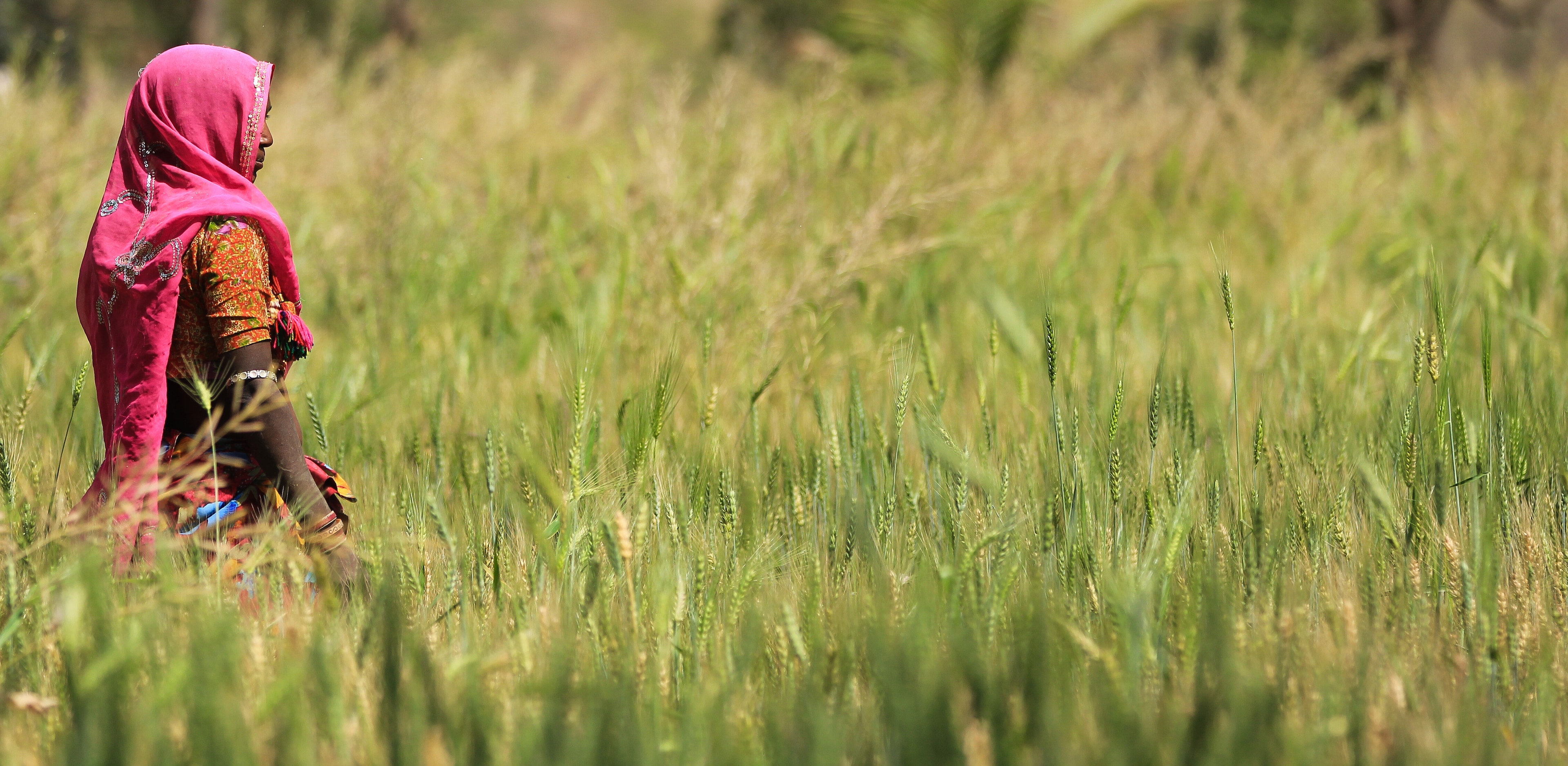 Artificial intelligence (AI) is transforming efforts to protect and restore nature by enhancing risk detection, wildlife monitoring, ecosystem modeling, and community engagement. Key applications include early detection of environmental risks like wildfires through sensor networks and predictive modeling, as exemplified by TELUS and Pano AI. AI aids biodiversity monitoring via machine learning and cameras, as seen in WWF's projects in Kenya and initiatives in the Amazon. Additionally, AI supports ecosystem restoration planning by simulating outcomes based on various datasets. Indigenous knowledge integration further enhances climate adaptation strategies. Emphasizing transparency and equity is essential for maximizing AI's benefits for both communities and ecosystems.