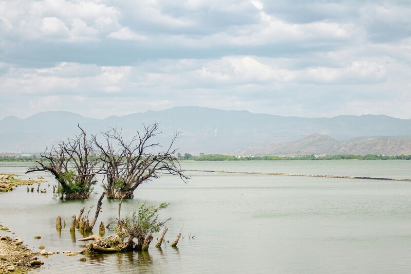 Businesses face significant risks from climate change, with potential annual earnings losses of up to 7% by 2035. The World Economic Forum's report highlights various climate hazards affecting fixed assets and supply chains across industries, estimating global losses between $560 billion and $1.1 trillion annually by 2055. Investing in resilience strategies can yield notable returns, with $1 invested generating up to $19 in avoided losses. Countries like China are enhancing climate risk management through substantial public investments and advanced forecasting systems. Companies must integrate climate resilience into core business models to maintain competitiveness and foster innovation.