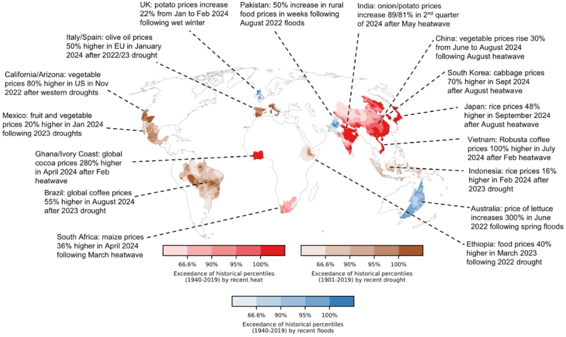 Severe weather events linked to climate change are causing significant food price spikes globally, according to research by the Barcelona Supercomputing Center and the European Central Bank. Notable price increases include a 22% rise in UK potato prices due to extreme rainfall and a 280% surge in global cocoa prices after heatwaves in West Africa. In Asia, intense monsoon rains have resulted in fatalities and destruction, with Pakistan reporting 178 deaths amid relentless storms. Additionally, UK scientists are analyzing ancient Antarctic ice for climate insights, and Greece is setting marine park boundaries for biodiversity protection.