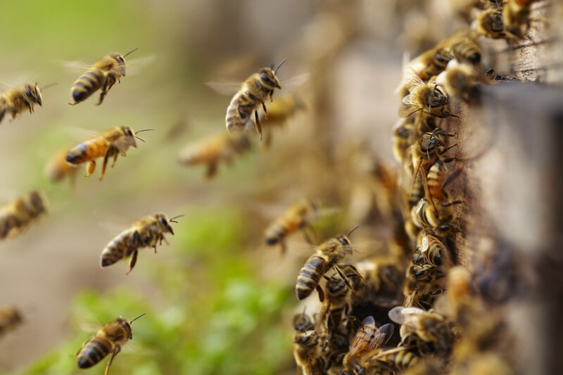 Natural capital is recognized as crucial infrastructure, with 85% of S&P Global 1200 companies reliant on nature. It may help combat geopolitical uncertainty, biodiversity loss, and economic instability, as 20% of countries face potential natural system collapse. Environmental risks, such as ecosystem degradation, threaten global stability and are increasingly tied to market risks. The importance of integrating natural capital into public policy, finance, and corporate strategies is underscored by initiatives in countries like China and corporate efforts from companies like Puma and Natura. Regulatory frameworks are evolving to support this transition, indicating a shift towards valuing nature in economic planning.