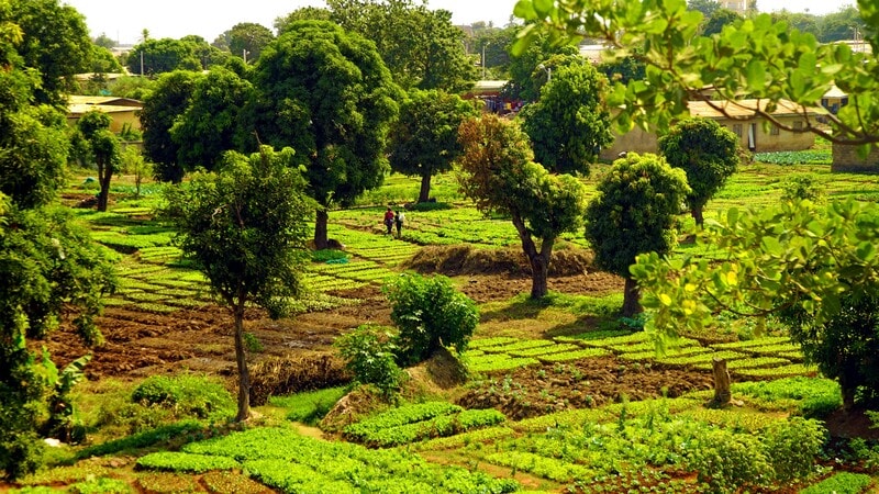 Africa experiences significant annual GDP losses of 2-5% due to climate shocks, with adaptation costs in sub-Saharan Africa projected to reach $50 billion by 2030. Key lessons from Africa’s climate response suggest three shifts are necessary for global improvement: 

1. **Shift from amount to speed**: Timely financial aid is crucial; delays can exacerbate damage.
2. **Shift from coverage to inclusion**: Responses must prioritize vulnerable populations, especially women, to enhance resilience.
3. **Shift from support to local appropriation**: Effective use of aid requires strong local systems and preparedness. 

These changes aim to improve adaptability and resilience in facing climate challenges.