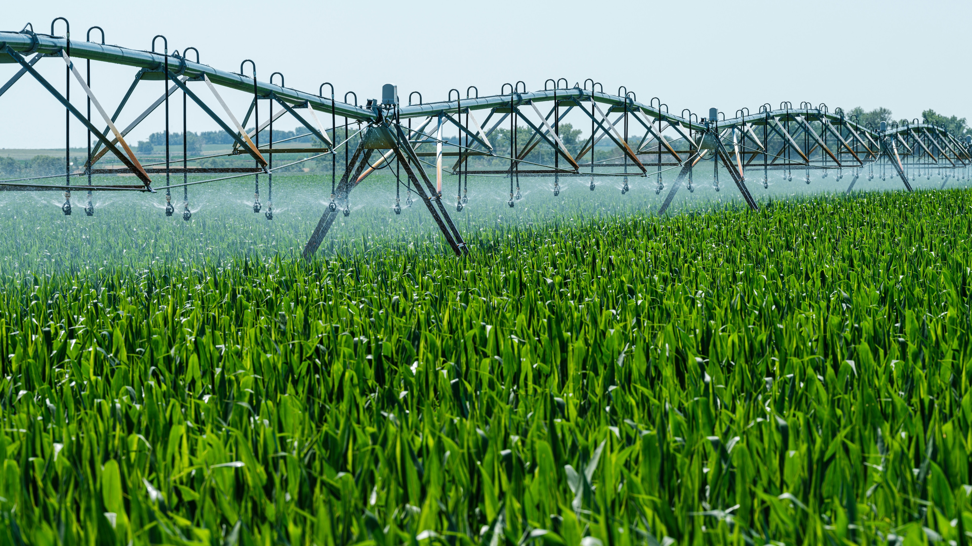Emerging economies in Asia and the Middle East are innovating to address the challenges of food-water systems amid resource scarcity. Twelve high-impact technologies, including precision agriculture and circularity, are enhancing water-use efficiency and boosting agricultural yields. Key players like China are leveraging tech advancements to sustain significant population portions with limited resources, while the Middle East is transforming water-stressed areas through solar desalination and salt-tolerant crops. However, systemic challenges such as fragmented ecosystems, infrastructure deficits, economic misalignment, and skills shortages hinder broader adoption of these innovations. A five-point blueprint emphasizes the need for coherent policy frameworks, robust financial systems, and collaborative ecosystems to accelerate food-water transformations.