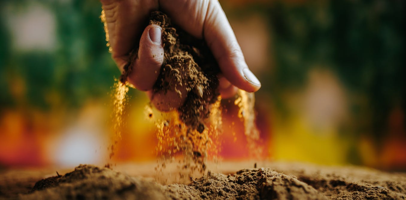 The UN climate summit Cop30 highlights the significance of soil in climate action, particularly in regions like the Amazon, where carbon-dense soils, known as Amazonian dark earths, exist. Ancient practices have enriched these soils with carbon, making soil a vital carbon store—containing more carbon than both the atmosphere and vegetation. Human activities have disrupted soil carbon cycles, contributing to approximately 15% of global warming. The 4 per 1000 initiative promotes increasing soil carbon stocks as a mitigation strategy. However, soil is often overlooked in national climate pledges. Clear targets for soil carbon could enhance climate resilience and food security, but urgent action on fossil fuel emissions remains essential.