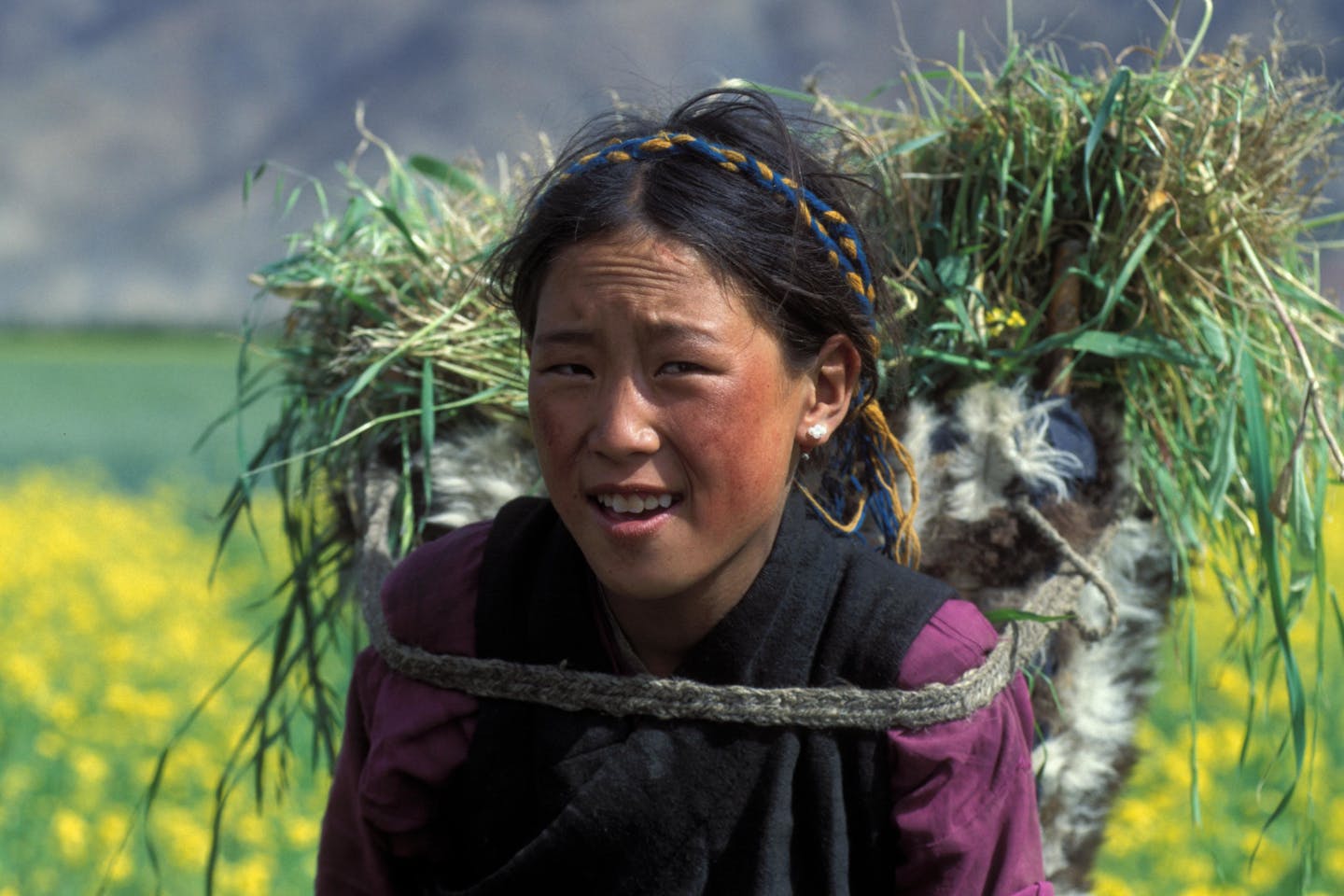 Chinese farmers are facing increased challenges due to climate change, causing disruptions in traditional agricultural practices tied to the 24 solar seasons. Abnormal weather patterns, such as dry springs and excessive rainfall, have forced farmers like Mr. Hong to adapt by changing crops and planting schedules. Despite government policies aimed at improving climate resilience, gaps remain between top-level strategies and grassroots implementation. Many farmers lack awareness of these policies and face obstacles in adapting to extreme weather, often opting to do nothing due to a lack of concrete agricultural guidance and local government support.