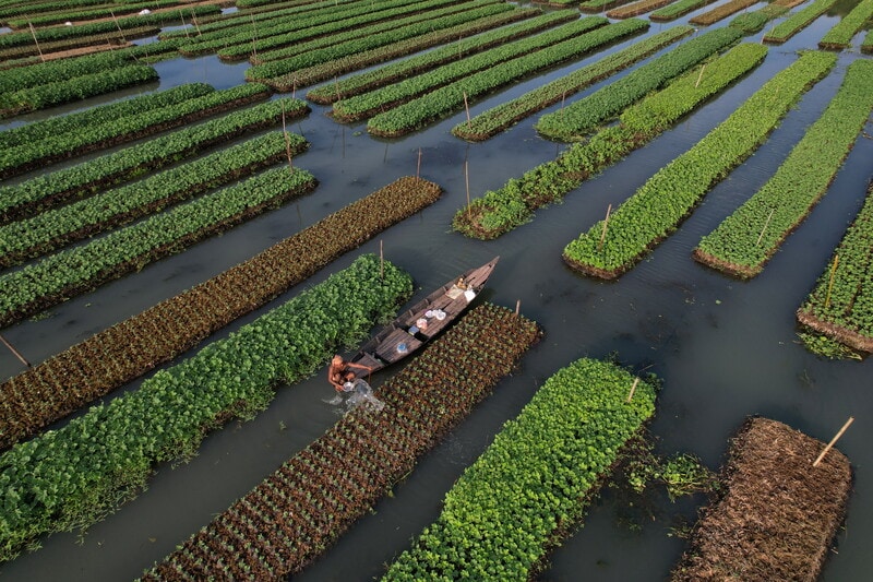 Reframing climate change as a human problem emphasizes the vulnerability of interconnected systems such as health, food, and economies at risk due to global warming. Solutions that focus on human needs, like Bangladesh’s floating farms and India’s community-driven waste management, demonstrate effective adaptations. Reports indicate that climate change is already harming health and livelihoods, causing over 250,000 deaths annually and displacing millions. By connecting climate impacts to daily life, communities are motivated to innovate and act, promoting policies that prioritize human experience alongside environmental sustainability.