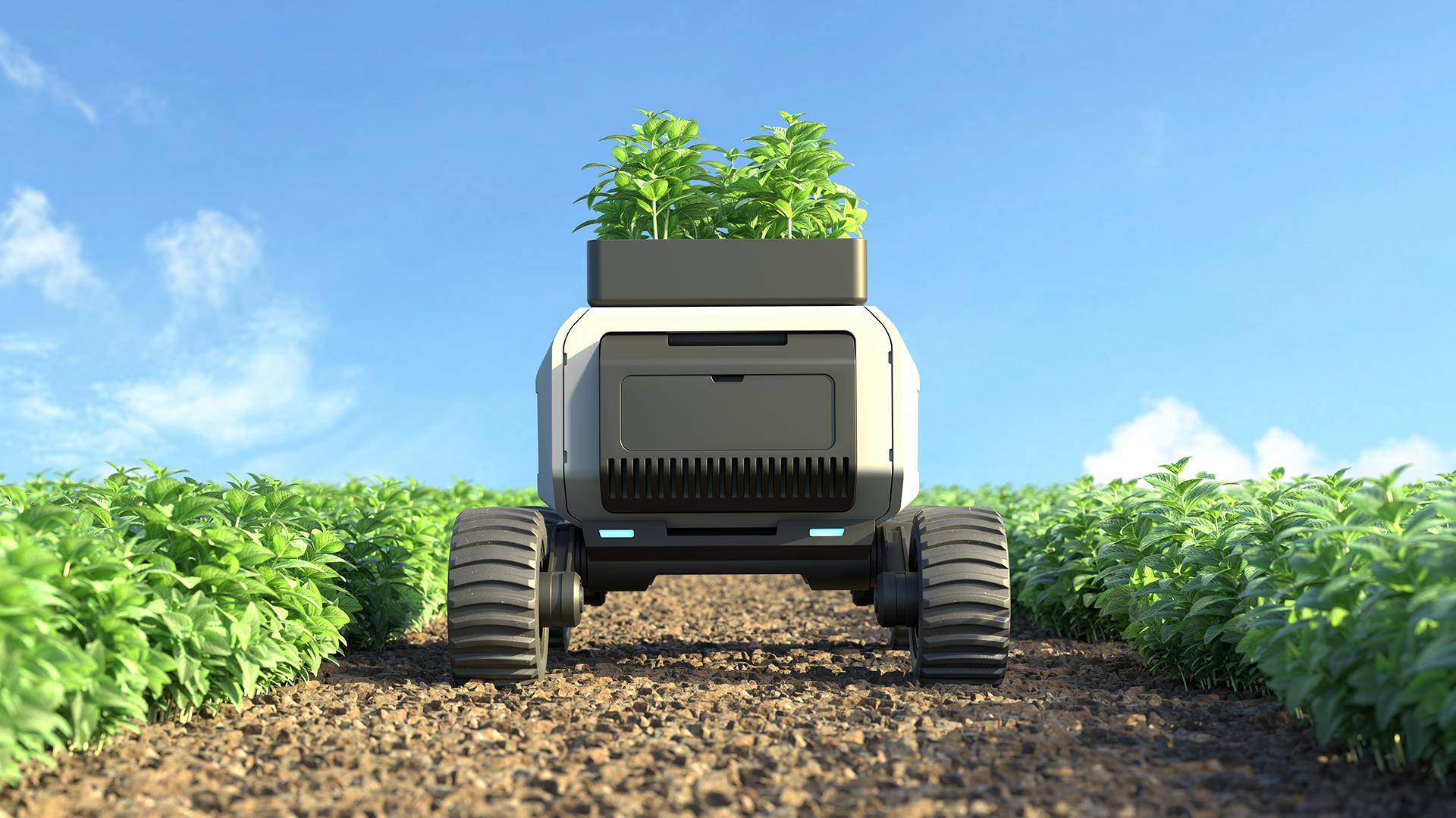 Global agriculture faces significant challenges due to climate change, resource degradation, demographic shifts, and geopolitical instability, necessitating innovative solutions beyond conventional methods. The World Economic Forum’s Artificial Intelligence for Agriculture Innovation (AI4AI) initiative highlights how frontier technologies—such as artificial intelligence, robotics, edge IoT, nanotechnology, and satellite remote sensing—can transform agriculture. The report outlines breakthrough use cases, practical pathways for ecosystem development, and emphasizes the need for collective action among governments, industry, and research to advance agricultural deep tech and ensure sustainable food security.