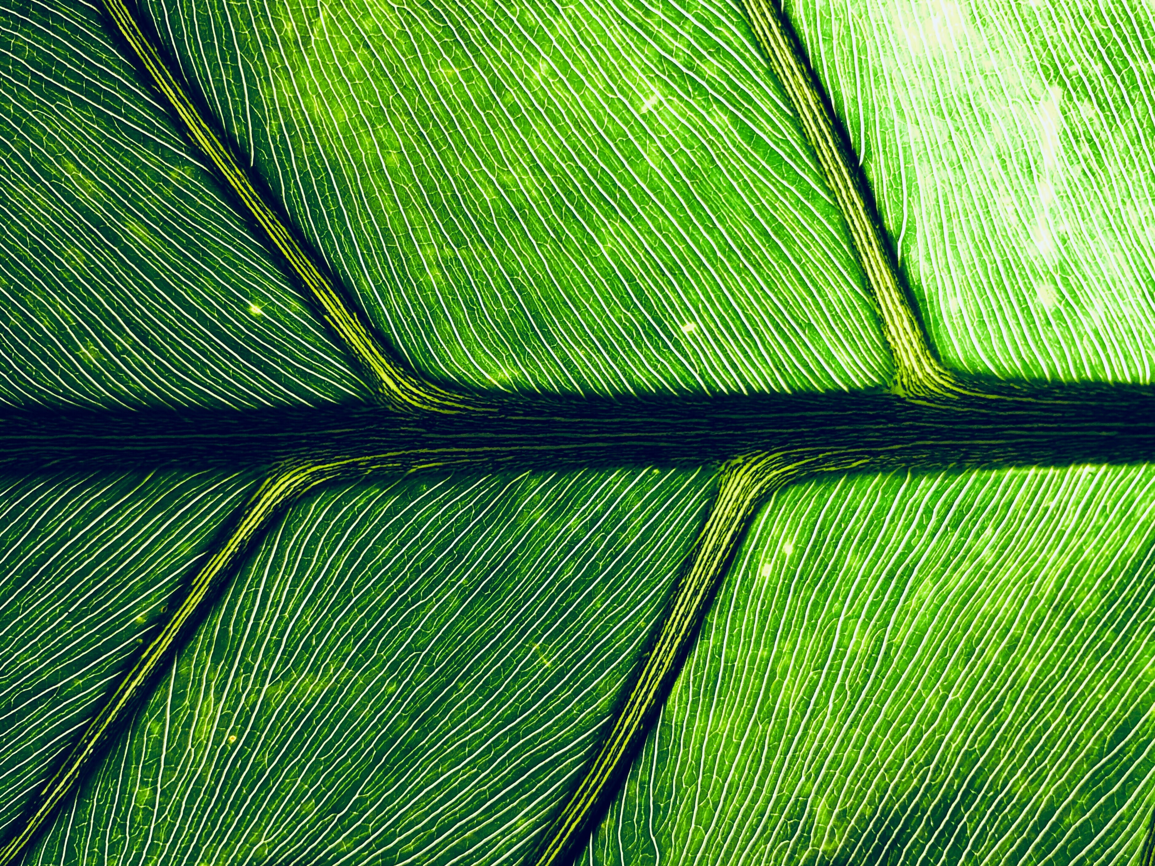 Climate risk assessment has become integral to business operations, requiring a holistic approach that encompasses all sectors of a company. Businesses must actively measure, mitigate, and manage their climate impact while addressing unique organizational risks. The implementation of emissions-based tariffs and disclosure mandates emphasizes the necessity for corporations to engage across all departments to develop comprehensive climate strategies. Effective management of climate risks involves adapting to regulatory changes and trade policies, which may penalize carbon-intensive practices. Companies that swiftly adopt climate-informed strategies will enhance their profitability and market standing while reducing legal liabilities and reputational risks.