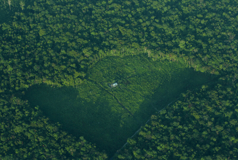 Encouraging advancements in forest restoration and resilience were highlighted ahead of COP30, with Brazil pledging $1 billion to the Tropical Forests Forever Facility and Mexico aiming to restore 30% of its degraded land as part of its National Restoration Plan. These initiatives underscore the recognition of forests' vital role in climate regulation and economic value, generating significant returns on investment. The discussions at recent climate forums emphasized collaboration among public, private sectors, and local communities to combat deforestation and promote sustainable landscape management as part of the UN Decade on Ecosystem Restoration.