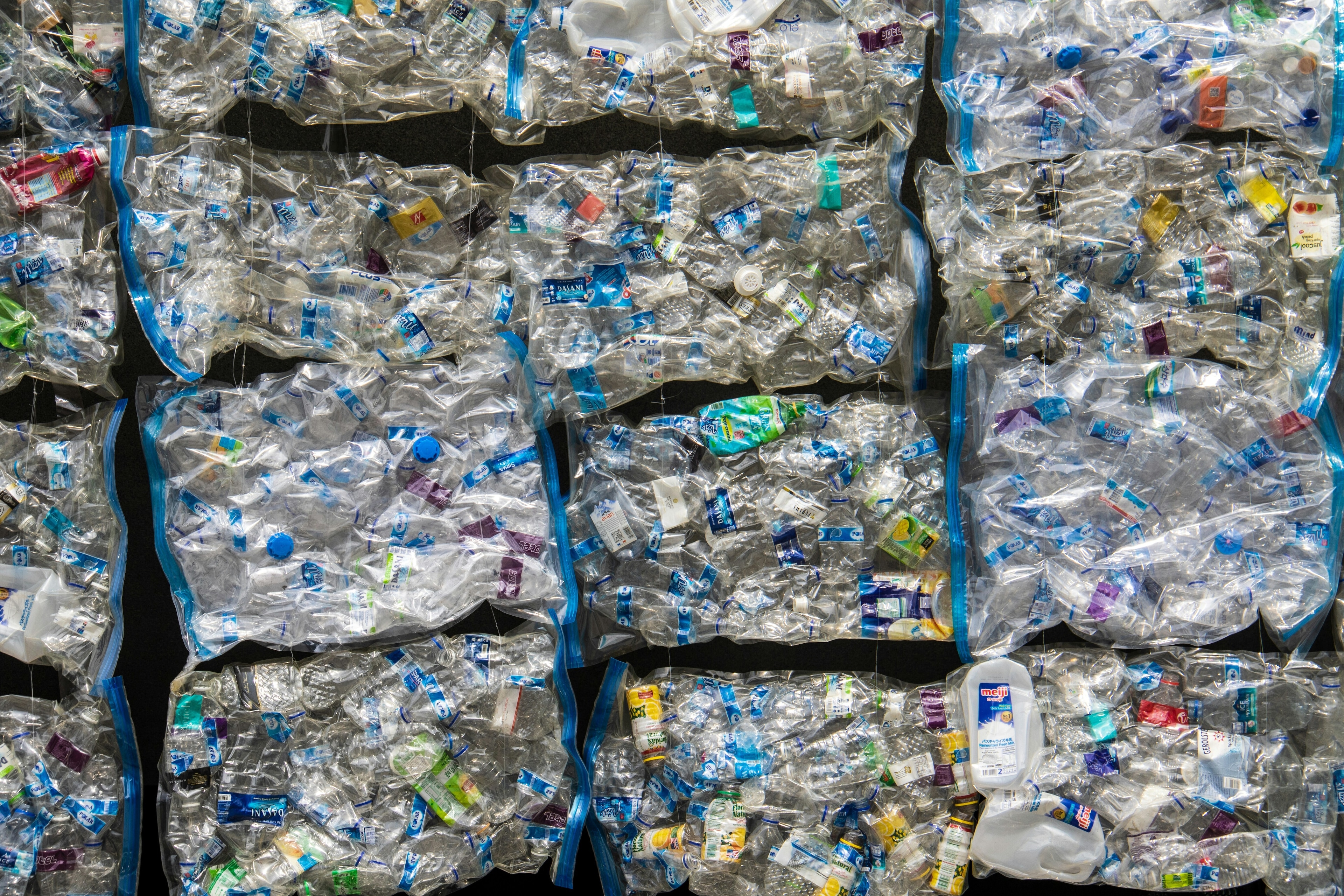 Global plastic treaty negotiations have begun in Geneva, aiming for a legally-binding agreement to combat plastic pollution, which costs around $1.5 trillion annually in health-related damages. Meanwhile, Brazil's new law easing environmental licensing could exacerbate deforestation in the Amazon, drawing criticism from UN experts. In the US, plans to remove emissions standards may impede pollution control efforts. Other notable developments include flooding in Beijing leading to evacuations, potential tourist fees in New Zealand, and discoveries of unique marine ecosystems in the northwest Pacific that thrive on toxic chemicals.