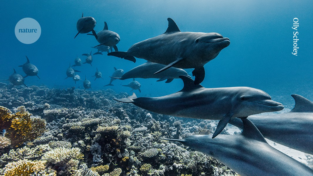 The UN Ocean Conference aims to enhance global efforts to achieve Sustainable Development Goal 14 (SDG14) focused on ocean conservation. Despite several treaties and agreements, compliance issues and inadequate implementation have hindered progress, with overfishing and climate change exacerbating the crisis. With only a fraction of pledged funding delivered, progress towards conserving 30% of marine areas by 2030 is lagging. The conference will provide a critical platform for delegates to reassess commitments, address obstacles, and revitalize essential agreements like the High Seas Treaty and the Agreement on Fisheries Subsidies.