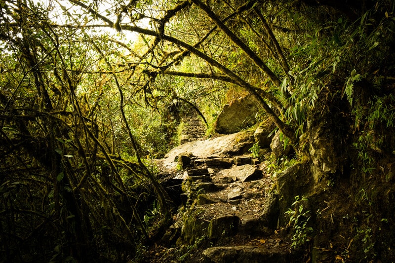 Narratives that emphasize tangible benefits are crucial for mobilizing support for nature-positive initiatives. While traditional methods focused on facts and regulations have failed to inspire widespread change, innovative solutions from various sectors demonstrate that progress is possible. Effective storytelling can reshape public perceptions, helping to frame nature restoration as vital for economic stability. Successful examples, such as Costa Rica's deforestation reversal and sustainable agricultural practices, highlight potential pathways. Ultimately, bridging the gap between ecological realities and market perceptions is necessary for fostering genuine investment in a greener future.