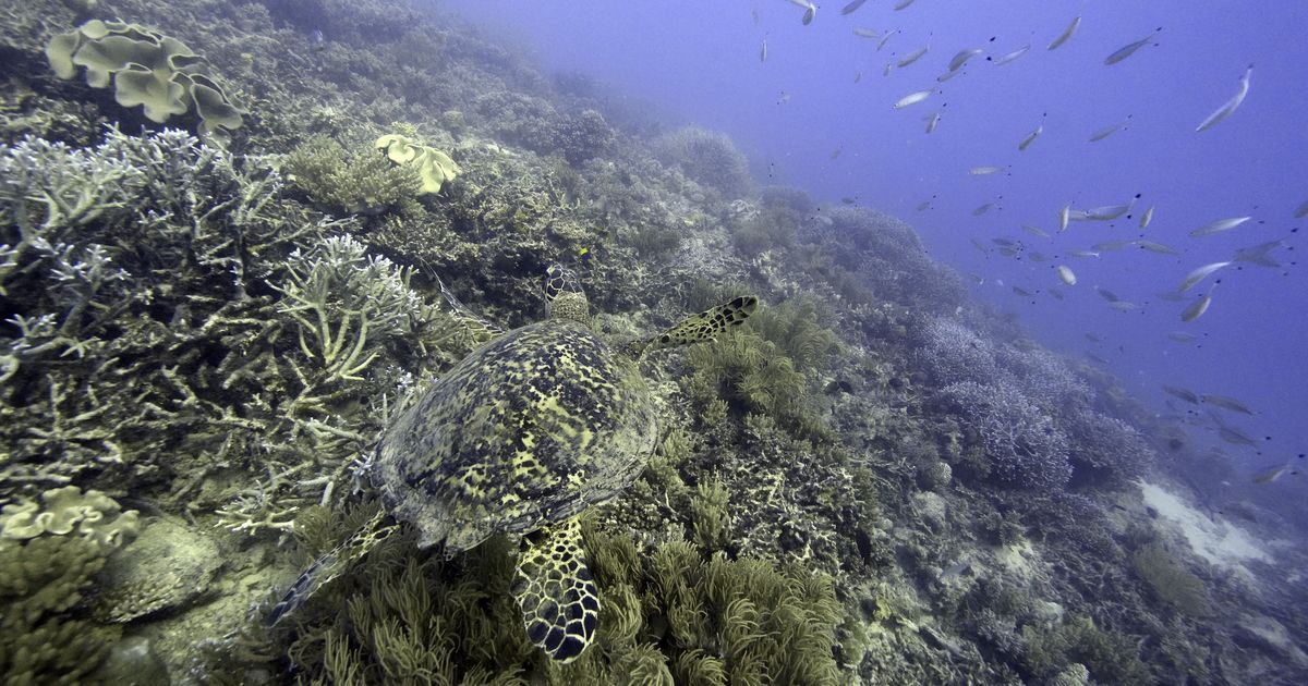 Washington's initiative to pursue commercial deep-sea mining could undermine the United Nations Convention on the Law of the Sea (UNCLOS) and provoke international conflicts over seabed resources, deemed a global common good. With rising demand for minerals like rare earths and nickel amid concerns over China's control in terrestrial markets, the U.S. move may disrupt ocean governance and conflict with the interests of 170 UNCLOS signatories. Germany and 36 other countries advocate for a "precautionary pause" on high-risk mining technologies to protect ocean ecosystems. The potential economic viability of deep-sea mining remains uncertain, and there are calls for regulated exploitation to prevent environmental degradation.