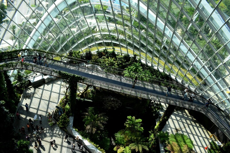 Decarbonization has become a key business imperative, shifting from a compliance task to a strategic growth driver. Five lessons from working with global corporations highlight that precise measurement of emissions is crucial for targeted action. Successful companies, like Reckitt and Symrise, demonstrate the necessity of a strong data foundation and long-term vision. Embracing AI technology significantly lowers costs and enhances the accuracy of product carbon footprint calculations, facilitating efficient carbon accounting. Sustainability initiatives must align with business objectives for effective transformation and compliance with evolving regulations.