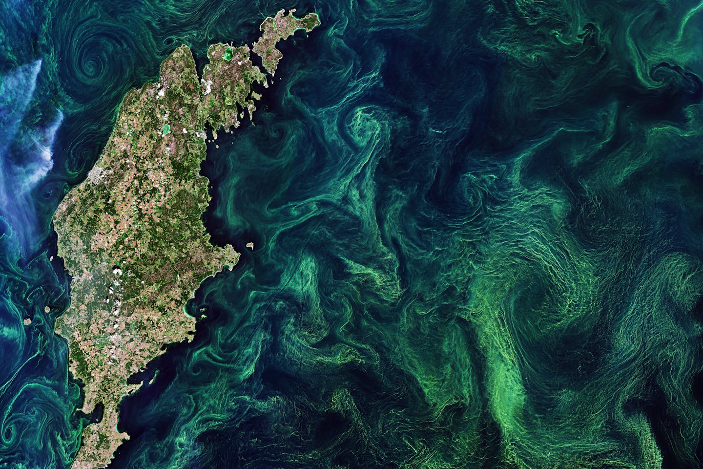 Scientists and entrepreneurs are exploring the idea of sinking agricultural plant waste into ocean 'dead zones' as a method for carbon storage. This approach, termed Marine Anoxic Carbon Storage (Macs), aims to sequester carbon in a way that avoids some pitfalls of previous geoengineering attempts. Although proponents see potential in the ocean's vast capacity for carbon storage, concerns persist regarding environmental impacts and the permanence of sequestered carbon. Critics argue that geoengineering could distract from essential emissions reductions. The establishment of standards and carbon credit markets may play a significant role in developing this approach.