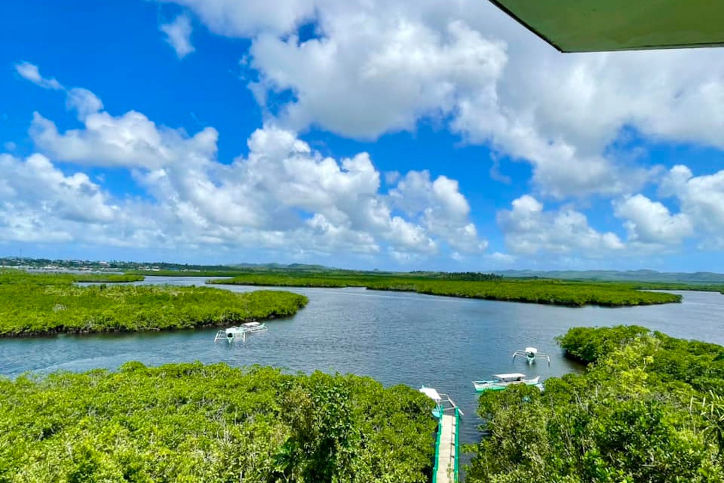 Approximately US$1 million is required to develop and execute a blue carbon roadmap in the Philippines, according to the Zoological Society of London (ZSL). A previous grant of over US$450,000 from the UK's Blue Planet Fund supports initial efforts, but additional funding is crucial for ecosystem restoration and effective implementation of the roadmap. Plans also include legislative measures to mandate local execution and integration into the country's climate action plan under the Paris Agreement. The Philippines aims to submit updated nationally determined contributions (NDCs) by November, incorporating blue carbon ecosystems to enhance climate and biodiversity initiatives.