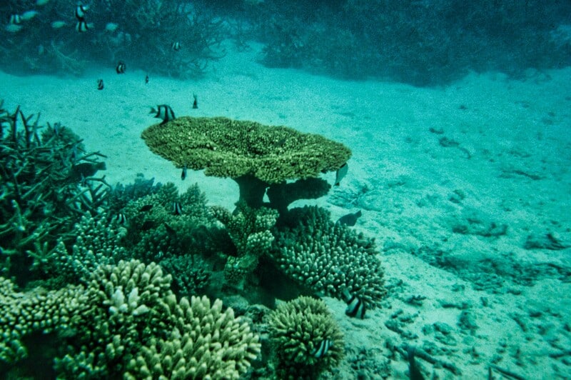 The ocean is vital for all life, providing oxygen, regulating climate, and supporting economies with a $2.5 trillion annual output. Sustainable management is crucial for protecting coastal resources and supporting local communities, particularly Indigenous Peoples and small-scale fishers who often suffer from overfishing and climate impacts. Investment in the blue economy is essential, yet it remains underfunded. Public subsidies should be redirected away from harmful practices. Initiatives like the SWIO Venture Builder aim to empower coastal communities in the South-West Indian Ocean by fostering sustainable enterprises. Prioritizing inclusive decision-making and responsible finance is necessary for achieving sustainability goals.