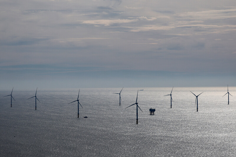 The World Economic Forum and McKinsey & Company report emphasizes that advancing climate action is feasible by addressing practical needs amid geopolitical and economic challenges. It suggests that companies must integrate sustainability deeply into their core business models to foster resilience and innovation. Leaders advocate for strong worker involvement in green transition planning to protect incomes and enhance productivity. The transition could create nearly 10 million jobs by 2030; however, insufficient support for workers could lead to a loss of 2.4 million jobs. Collaboration across sectors is crucial for achieving an inclusive low-carbon economy.