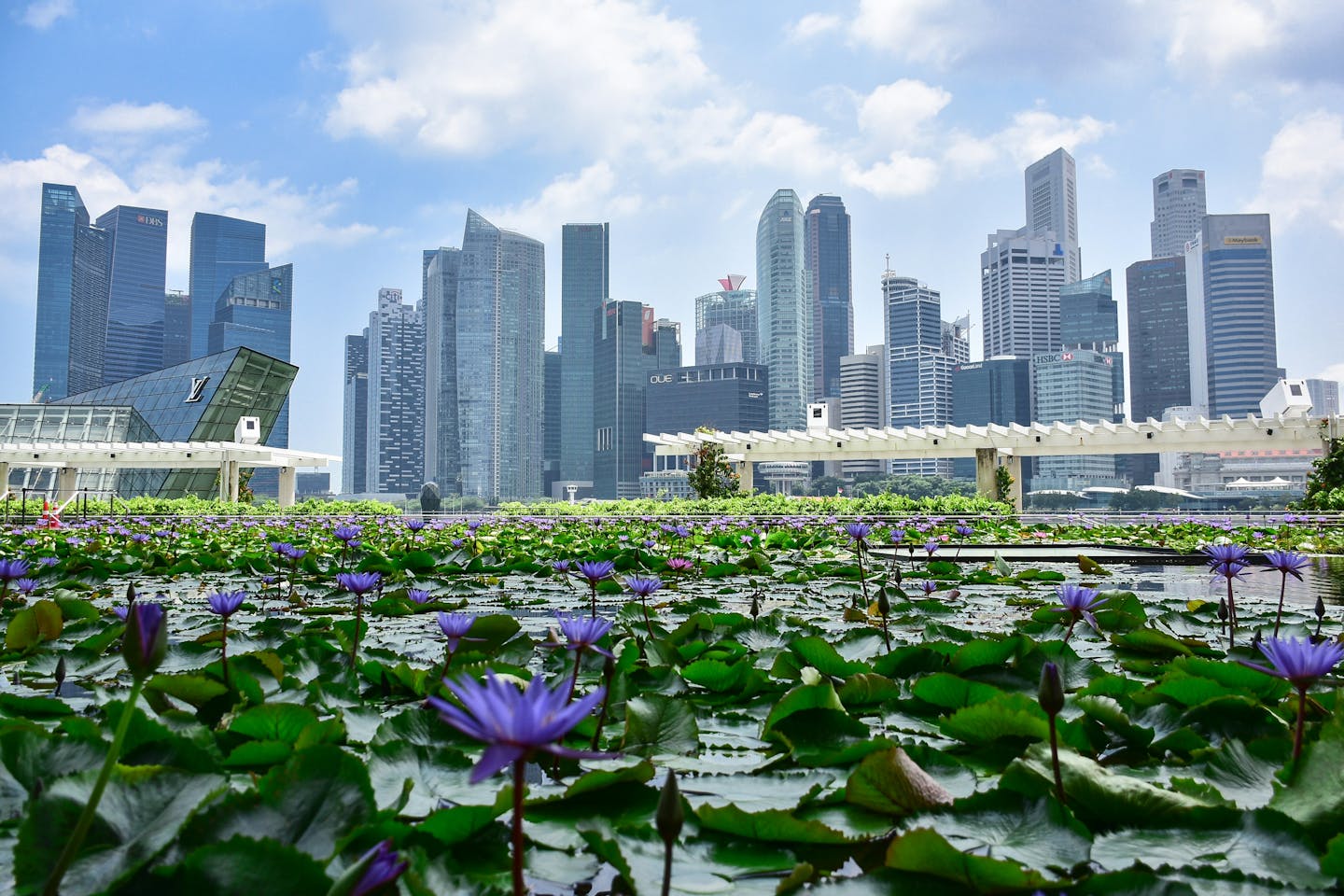 Temasek will convene leading climate finance figures in Singapore to develop practical strategies for achieving 2030 decarbonisation goals. Notable attendees include executives from BlackRock, HSBC, and major carbon project registries. The summit aims to emphasize green pragmatism, addressing challenges like trade tensions and rising energy costs that threaten climate initiatives. Speeches will advocate for economically viable decarbonisation solutions, shifting the discussion from the 'green premium' to potential 'green discounts' in renewable energy. Participants are urged to take proactive measures to combat climate change amidst market uncertainties.