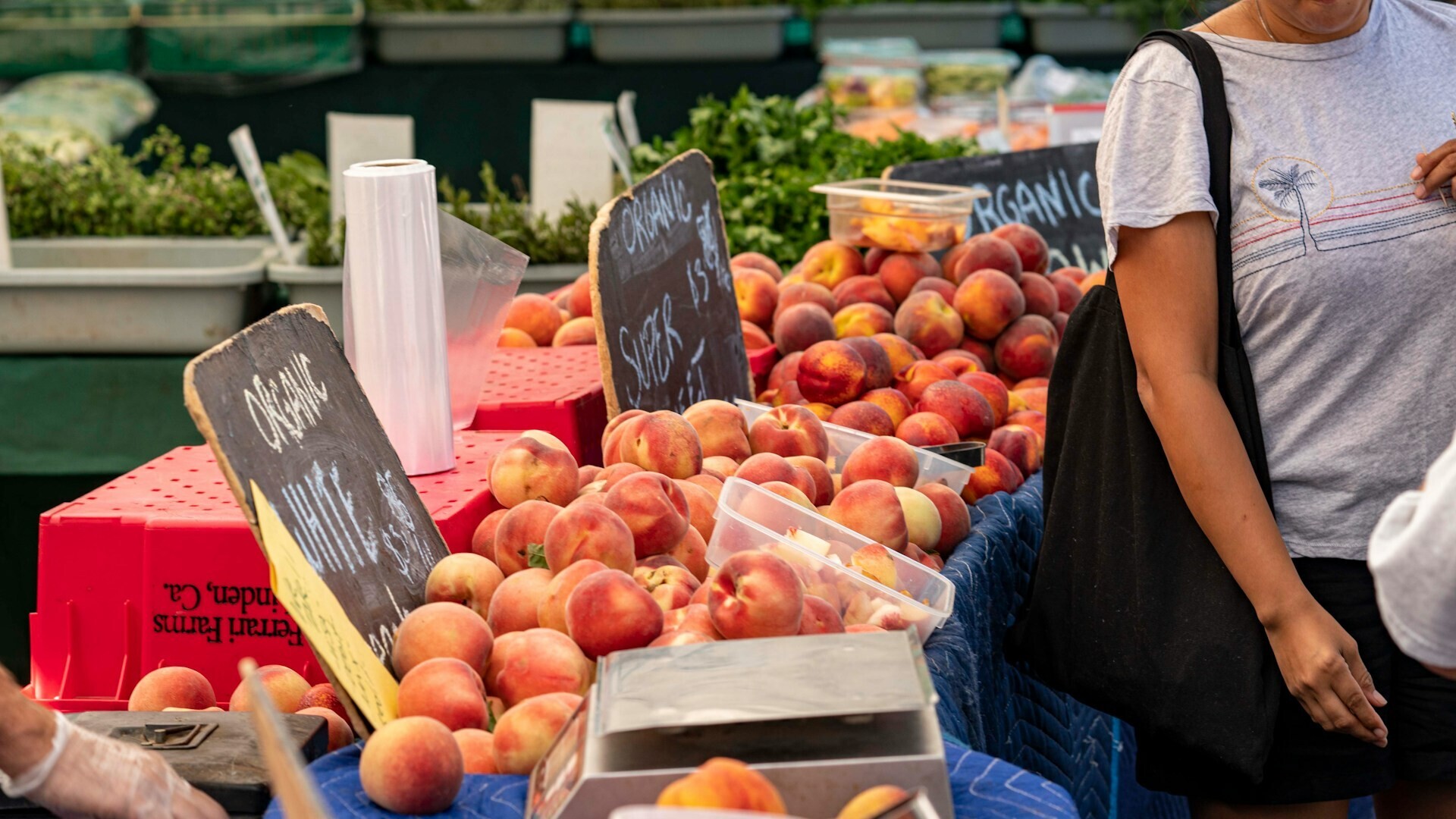 Food systems are essential for health and wellbeing in urban areas, but they face significant challenges such as diet-related diseases, food insecurity, and environmental impact. Innovation in food systems is necessary to address these issues, focusing on local solutions that enhance resilience and access to nutritious food. Cities like Boston are testing strategies such as mobile markets and climate-resilient storage to improve food access. Successful transformation requires collaboration between innovators, local governments, and communities to align priorities and secure funding for sustainable solutions. Without systemic innovation, urban growth may exacerbate inequality.