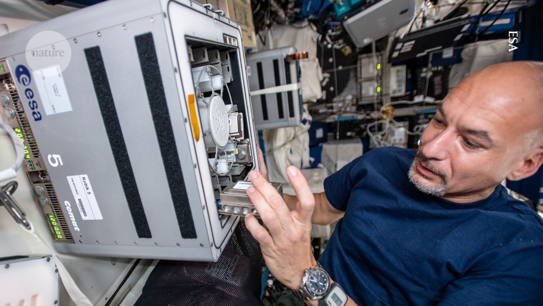 Microbes could play a crucial role in sustaining long-distance space travel by performing tasks such as mining valuable elements, producing food and medicines, and creating the building blocks for habitats. 