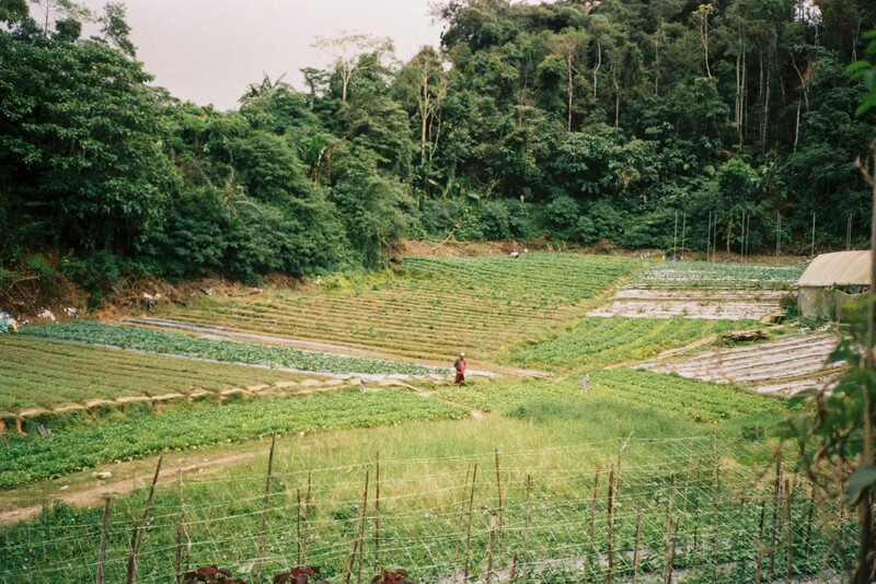 A sustainable bioeconomy utilizes natural resources conservatively to foster social justice and environmental stewardship, aiming for a nature-positive future. At COP30 in Belém, Brazil, discussions will center on five critical dimensions: forests, agriculture, social bioeconomy, biotechnology, and finance. The Brazilian government prioritizes this model to enhance positive impacts on nature while reducing detrimental effects. Key discussions emphasize the bioeconomy’s role in addressing climate change by conserving ecosystems that absorb CO2 and promoting fair benefits for Indigenous communities protecting biodiversity. Major principles established by the G20 will guide its development towards equitable and circular use of biological resources.